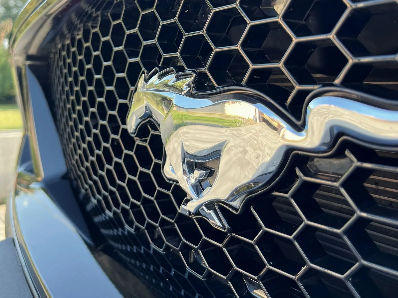Chrómový znak Mustangu na maske po detailingu